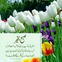 Ray Khalid