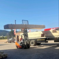 Ntsheludzeni Foster