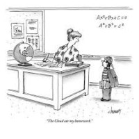 Lauren Harple Rollens