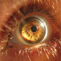 badraiah al othaimeen