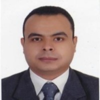 Sameh Sayed Hassan