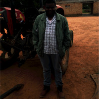 Mukudzei Gwaradzimba