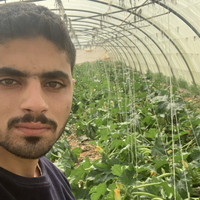 Naeem AbuMousa