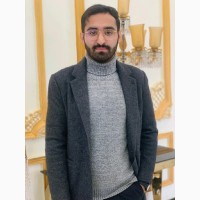 Muhammad Ali Raja