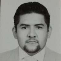 JULIO CESAR SOSA VILCHIS