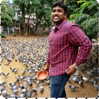 Nagaraju K