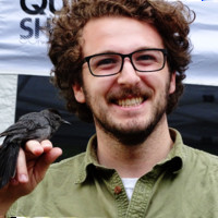 Brandt Straub