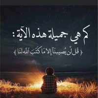 احمد زيادة
