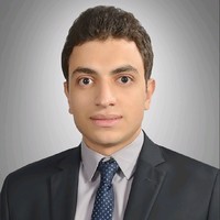Moaz Amer