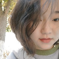 Liping Wu