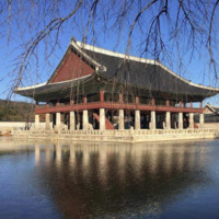 Tourism Job