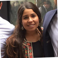 María Ignacia Hoffmann Arteaga