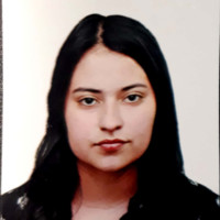 Karol Johanna Villarreal Diaz