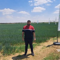 Ahmed Mosaad