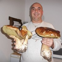 Pascal Villot