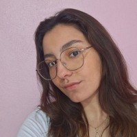 Amanda Vitória Siqueira Teixeira