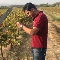 Pritish Kajale