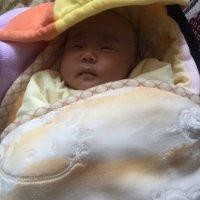 张文焘