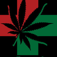 Zoot Zooted