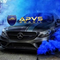 Regional Guarapuava Apvs Brasil