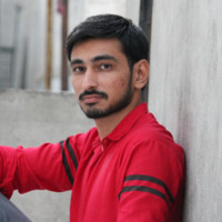 Ankit Vegad