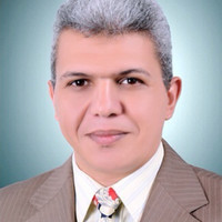 Ayman Amin