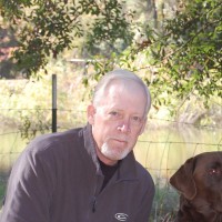 Terry Murphy
