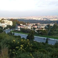 Tarik Alhamzawi