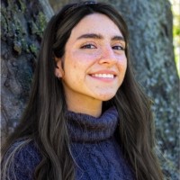 Ana Sordo