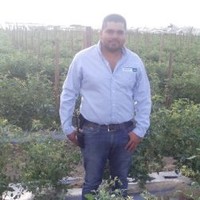 PEDRO GIANCANY MORENO BUSTAMANTE