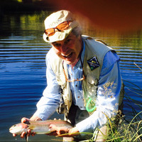 Tod Rawlinson