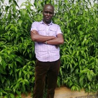 Mwendwa Sammy