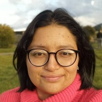 Deisy Karina Medina Pineda