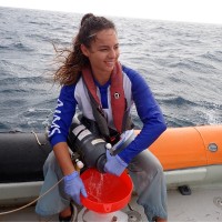 Elena Pfeffer