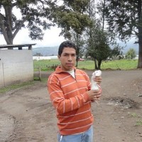 Javier Antonio Saltos Avalos