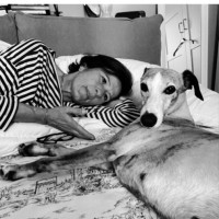 Daniela Cristina Signorelli