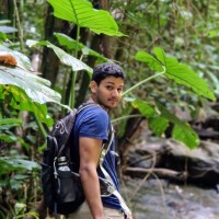 Tyler Murray-Ramcharan