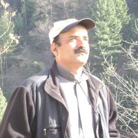Naveed Ullah
