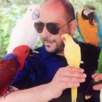 Ahmed Ghadi