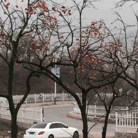 邢丹丹