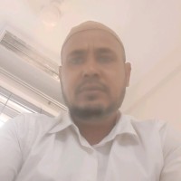 Md Mahmud Ali (Mizan)