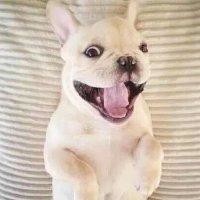 赵健凯