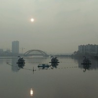 王雨琴