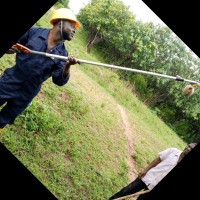 Ogbu Peter
