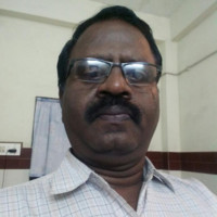 Sarasa Narasimha Rao