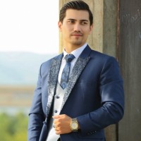 Farid Hussain