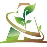 Seif El Din Abou Aly