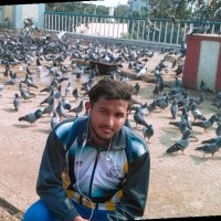 Mohammed Zubair Ahmed