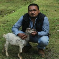 VIJIT SEN