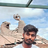 Vasantha Saravanan